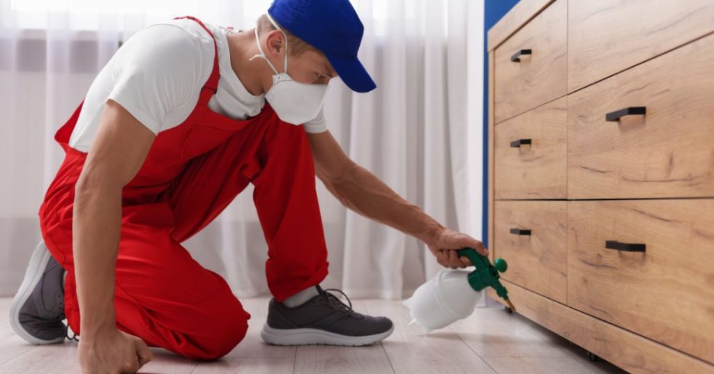 capa dedetizacao em Cuiabá