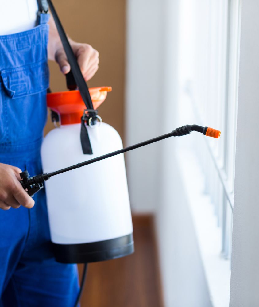 dedetizador em Cuiabá