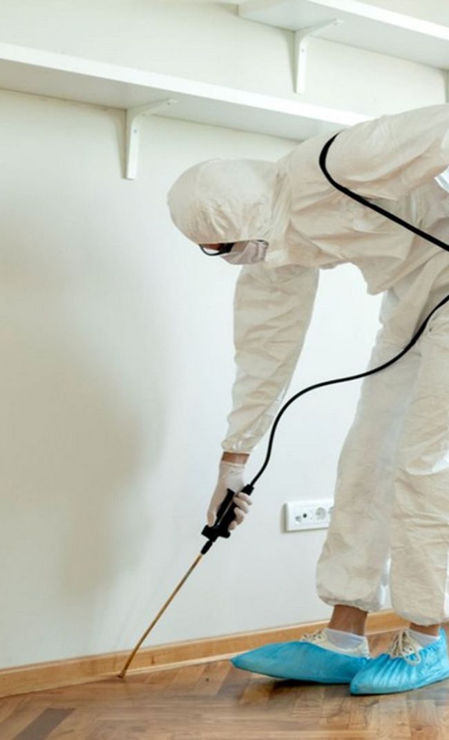 dedetizadora em Cuiabá