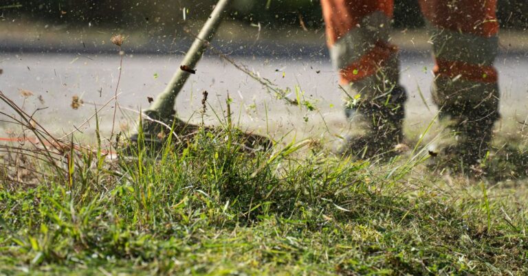 corte de grama em Cuiabá