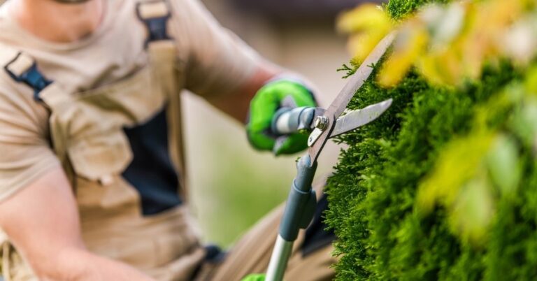 manutenção de áreas verdes em Cuiabá